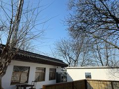 -茶颜悦色(岳麓山顶店)
