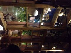 胡桃里-胡桃里音乐酒馆(星湖北一里店)