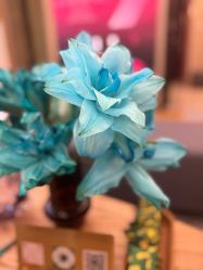 -ROYEA茹彦祛痘·问题肌肤修护中心