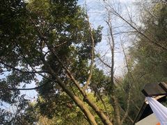 -融汇温泉