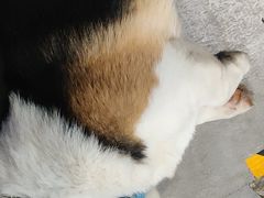 -阿尔法海鲜排档(爱琴海店)