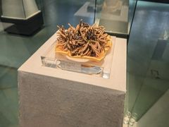 -青藏高原自然博物馆