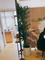 点击看大图 -森林头疗美容养发馆