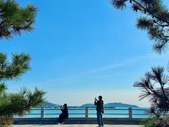 -单家老院·院子里的青岛菜(沙子口店)