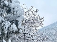 -四明山国家森林公园