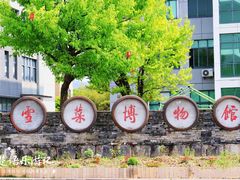 -鄞州雪菜博物馆