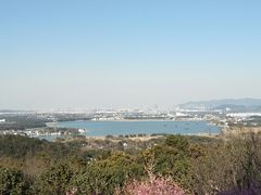 -香雪海