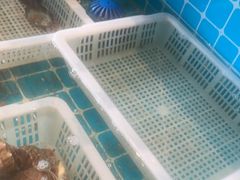 -锅老头铁锅炖•大锅蒸汽海鲜(韩乐坊店)