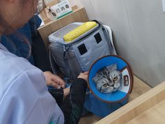 -瑞派宠物医院·CT影像中心·猫友好医院(奥城店)