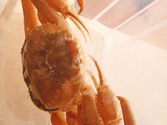 -金时代顺风大酒店(静安大融城店)