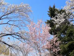 -吉林大学(南岭校区)