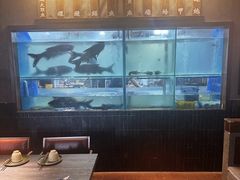 -阿鸡鱼庄·顺德鲜蒸小炒(亚运村店)