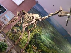 -陕西自然博物馆