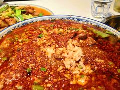 -院8里·小聚园老川菜(九眼桥店)