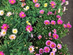 -玉泉综合市场(天山北路店)