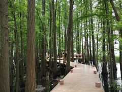 -东湖落雁景区