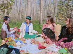 -合肥滨湖国家森林公园