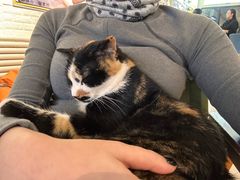 -平行世界·猫咖(首经贸店)