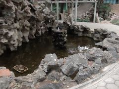 -叶家花园