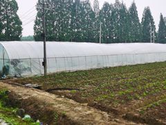 -武汉世外桃源农庄