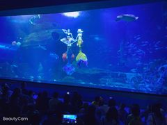 -多彩贵州城极地海洋世界