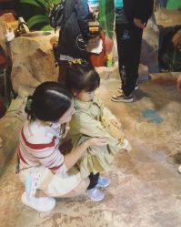 -酷嗒动物文化乐园(cutezoo西溪乐天城店)