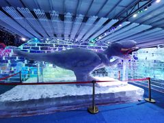 -宁波冰雪大世界(北仑区)