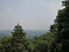 -广州市帽峰山景区