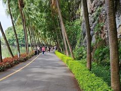 -星湖旅游景区七星岩