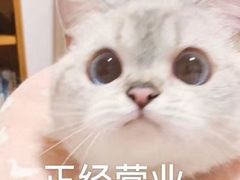 -苏梅花园(群星城店)