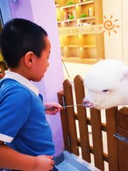 -Moni星球萌宠·小马宝莉·灵蛇·高端高阶全萌宠互动体验俱乐部(红豆国际广场店)