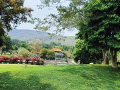 -三亚南山文化旅游区