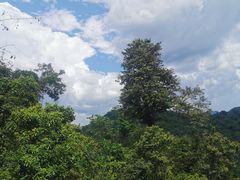 -野象谷景区
