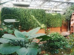 -金稼园·金平湖农家菜