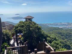 -三亚亚龙湾人间天堂鸟巢度假村
