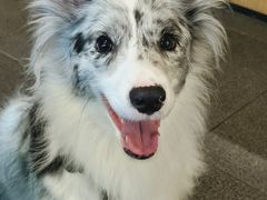 -卢小厨私房菜(长兴店)