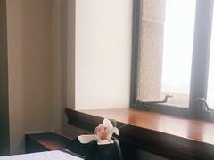 -上海和平饭店华懋阁 Cathay Room