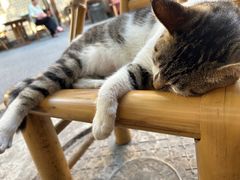 -铜瓢江湖兔火锅(水碾河社区店)