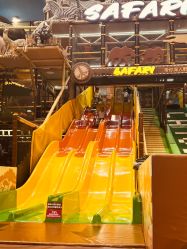 -卡通尼·Safari非洲探索乐园·生日会(金桥国际商业广场店)