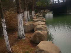 -九里河湿地公园