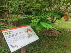 -中国科学院西双版纳热带植物园