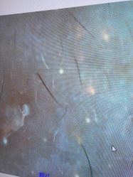 -凡碧诗毛孔清洁收细