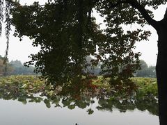 -西湖外事游船(花港观鱼码头)