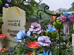 -杭州少年儿童公园