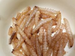 炝拌竹虫-老滇山寨•云南特色菜•地方菜•民族风情歌舞表演(金碧店)