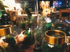 -未来生活家(集盒广场店)