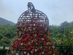 -西双版纳原始森林公园