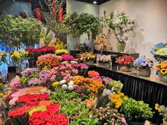 -双季花艺园艺市场(浦东店)