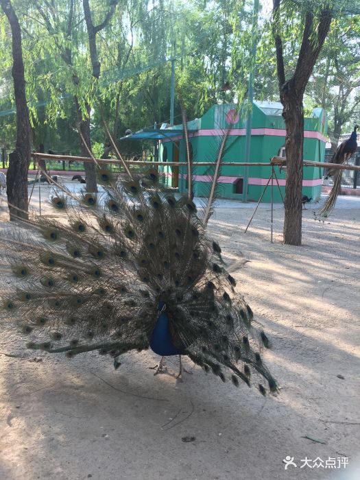 银川动物园图片