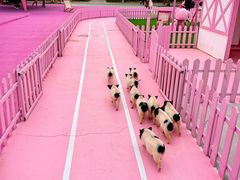 -渔岛海洋度假区